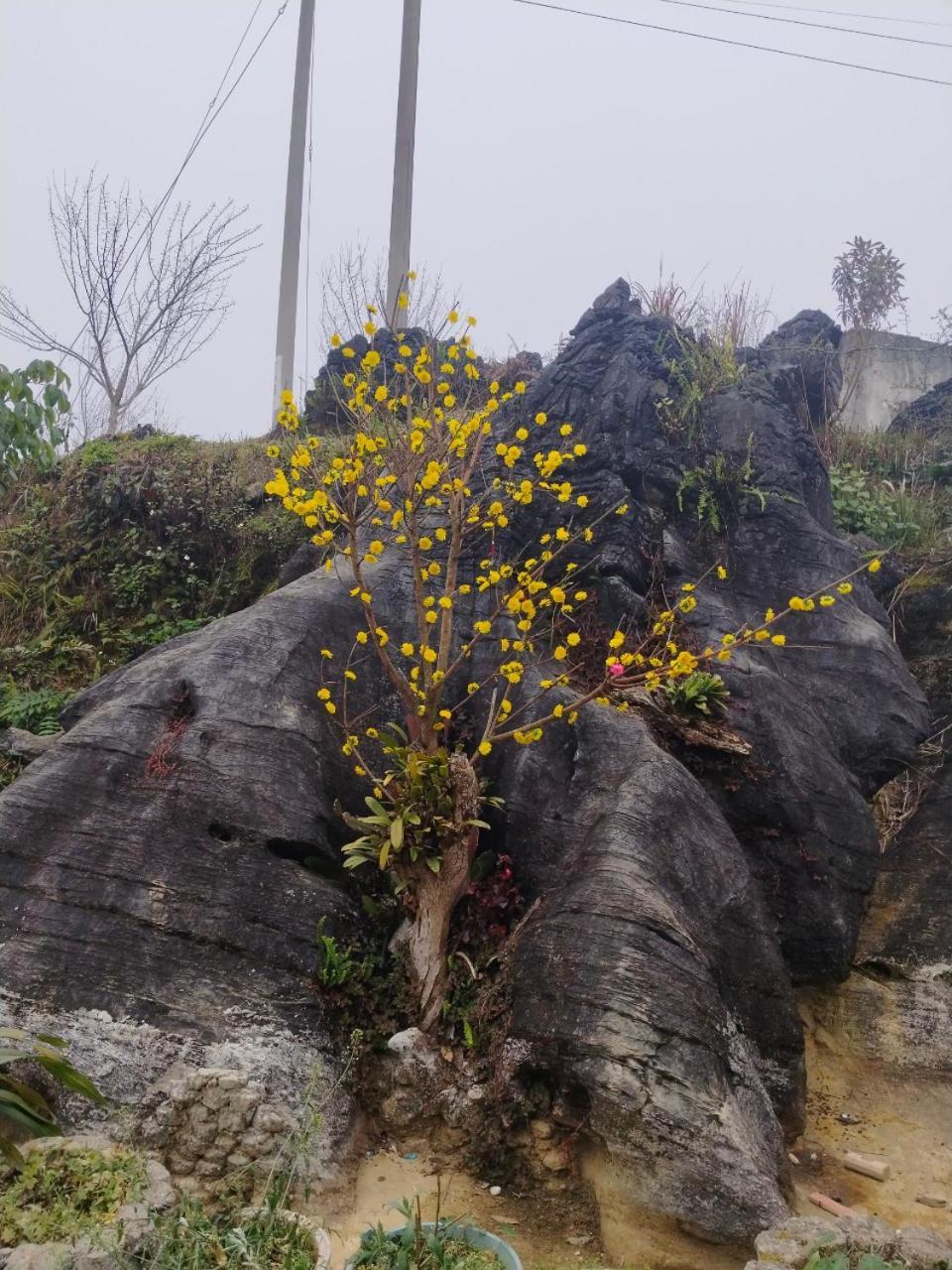 Ta Van Chu Homestay Bac Ha  Exteriér fotografie